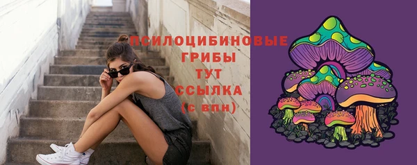 jwh Михайлов