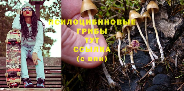 спайс Абдулино